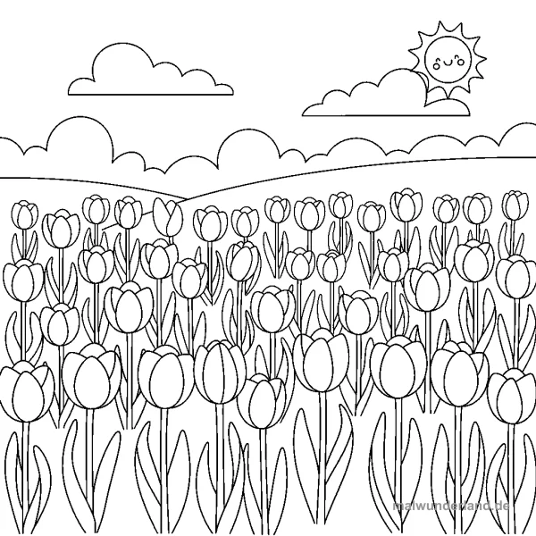 Tulpenfeld