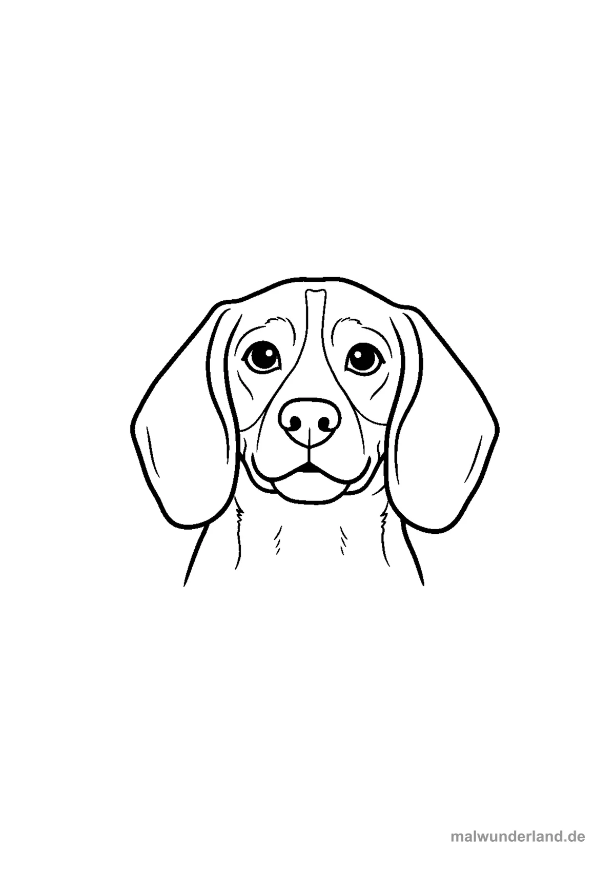 Beagle Porträt – Druckvorschau auf A4