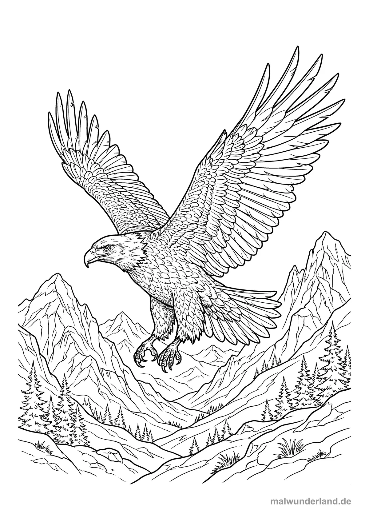 Adler im Flug – Druckvorschau auf A4
