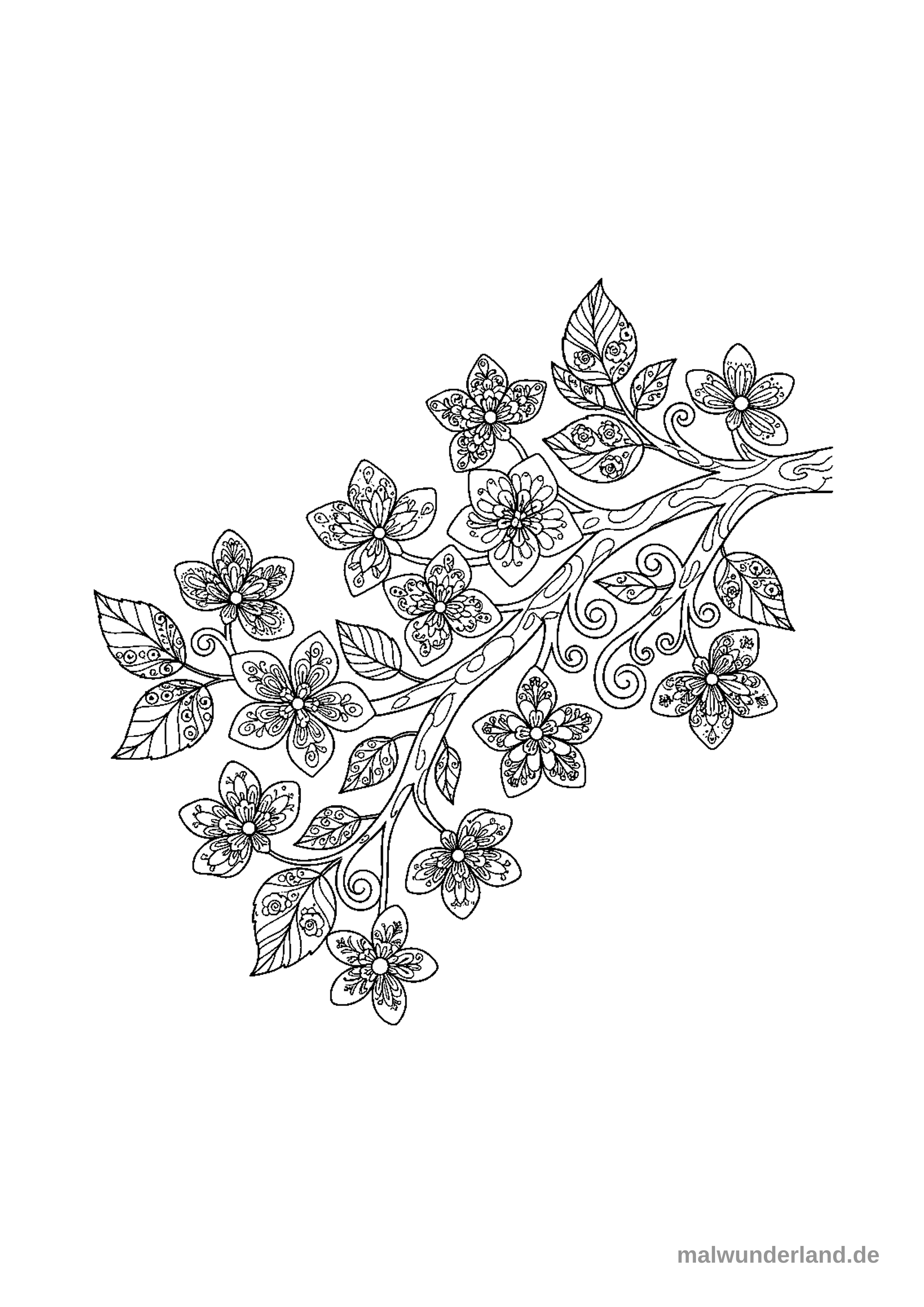 Das Bild zeigt einen detaillierten Ausmalbild-Entwurf eines blühenden Zweiges mit zahlreichen kunstvollen Blumen und Blättern. Der Zweig ist diagonal über das Bild ausgerichtet und seine Elemente sind mit feinen, verschnörkelten Mustern verziert.