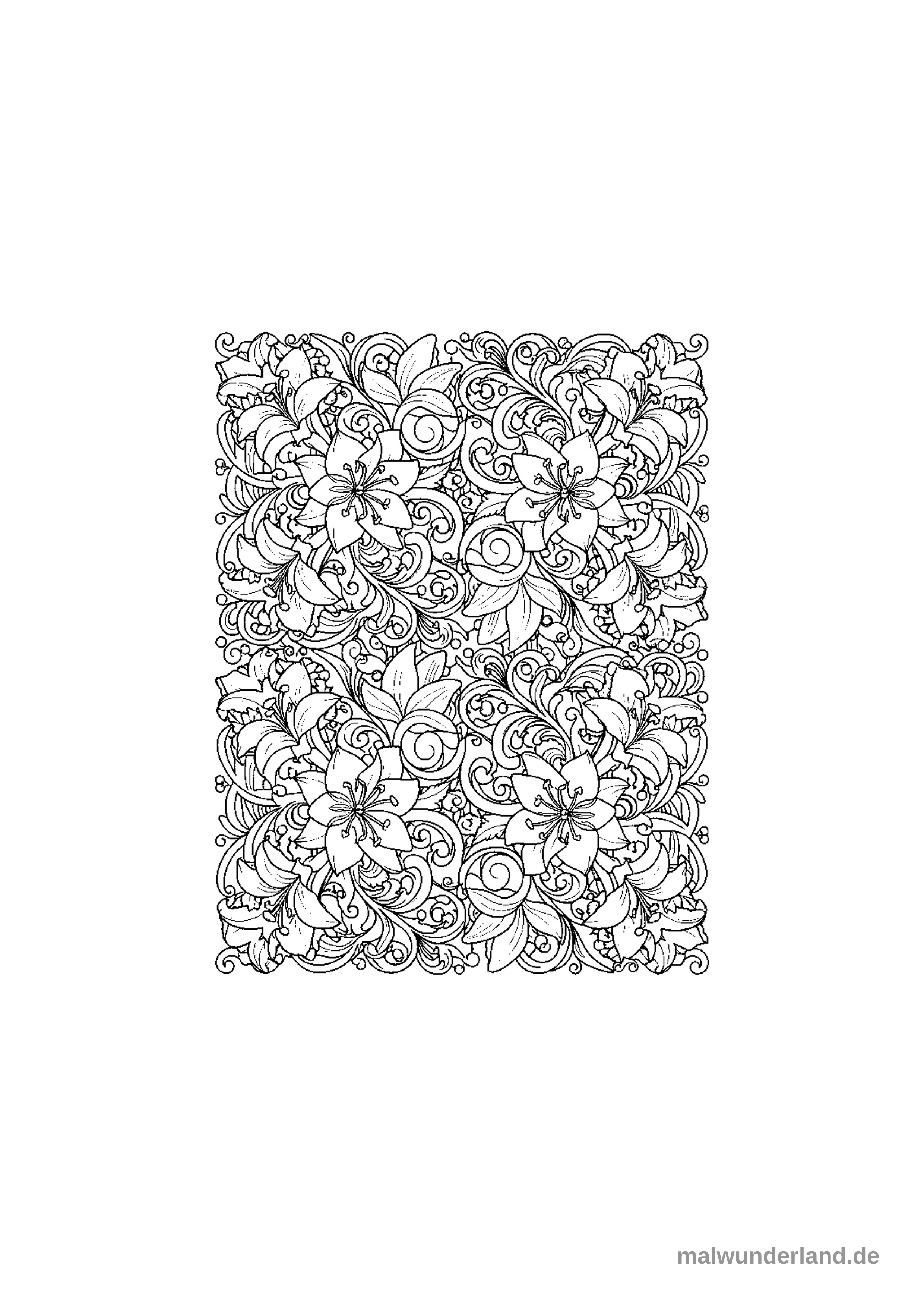 Das Bild zeigt eine detaillierte Ausmalseite mit einem dichten, rechteckigen floralen Muster. Es ist gefüllt mit stilisierten Lilienblüten, kleineren Blütenknospen und kunstvollen, geschwungenen Ranken und Blättern.