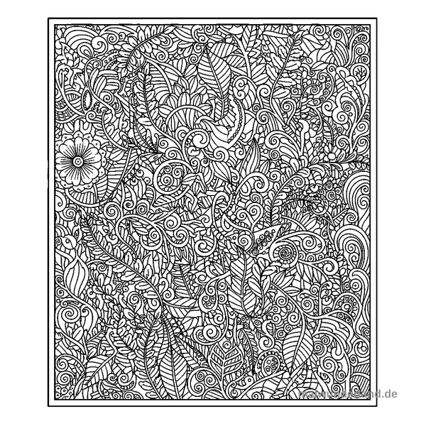 Fabelhafte Farne - Kostenloses Ausmalbild zum Ausdrucken
