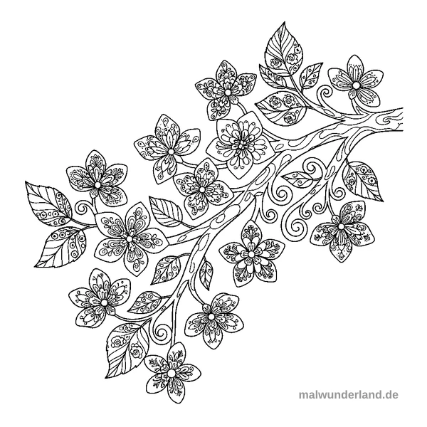 Kirschblüten-Zweig - Kostenloses Ausmalbild zum Ausdrucken