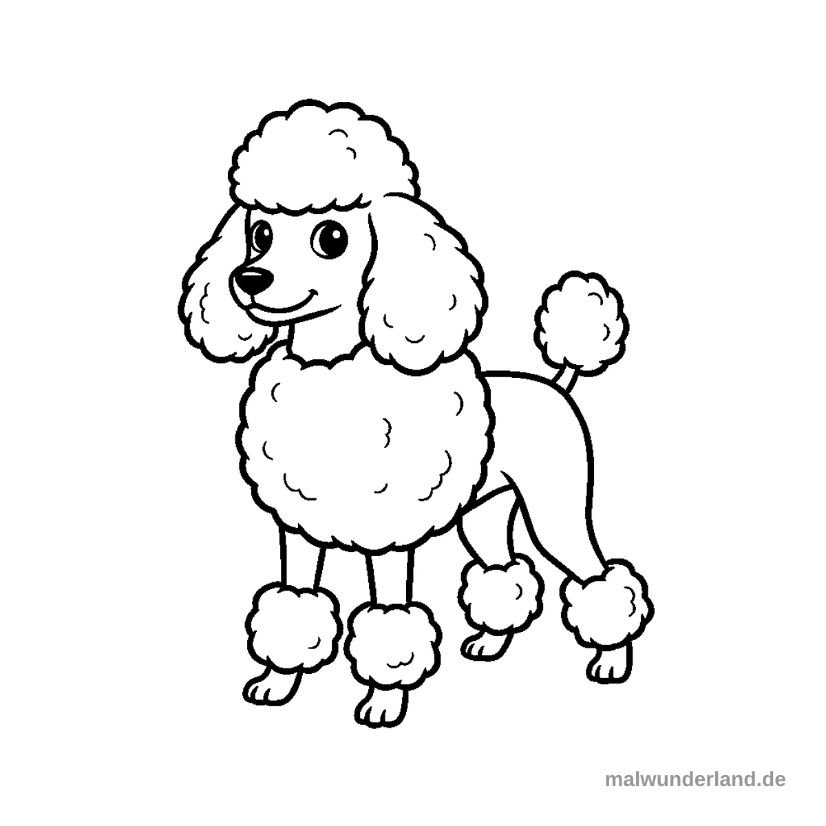 Pudel gepflegt - Kostenloses Ausmalbild zum Ausdrucken