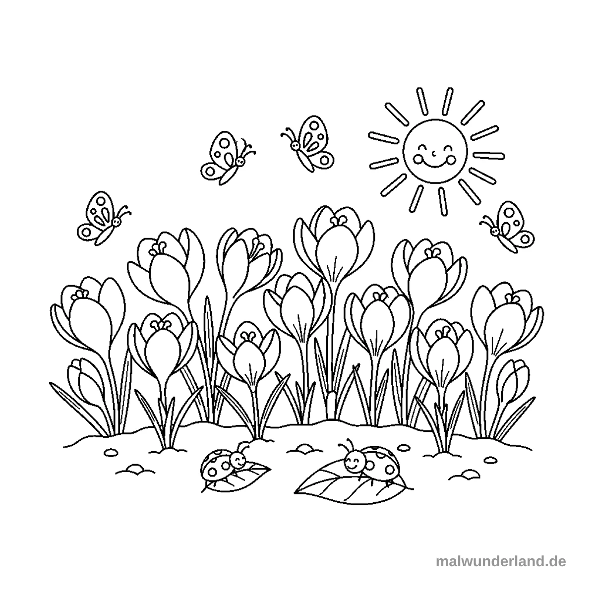 Krokusse blühen - Kostenloses Ausmalbild zum Ausdrucken