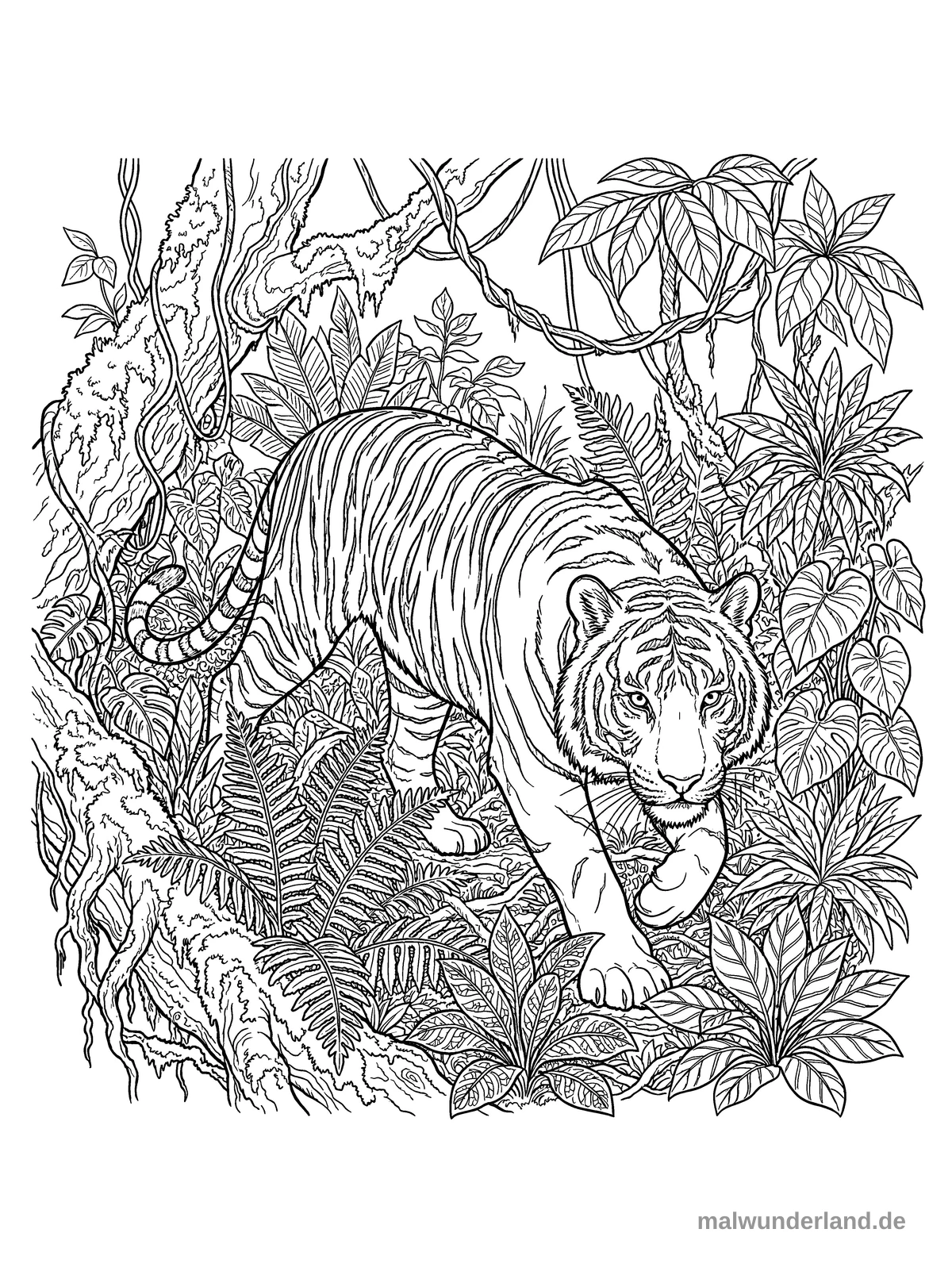 Ein detailliertes Ausmalbild zeigt einen majestätischen Tiger, der durch einen üppigen und dichten Regenwald schreitet. Das Tier ist umgeben von einer Vielzahl von Pflanzen, Bäumen, Farnen und rankenden Lianen.
