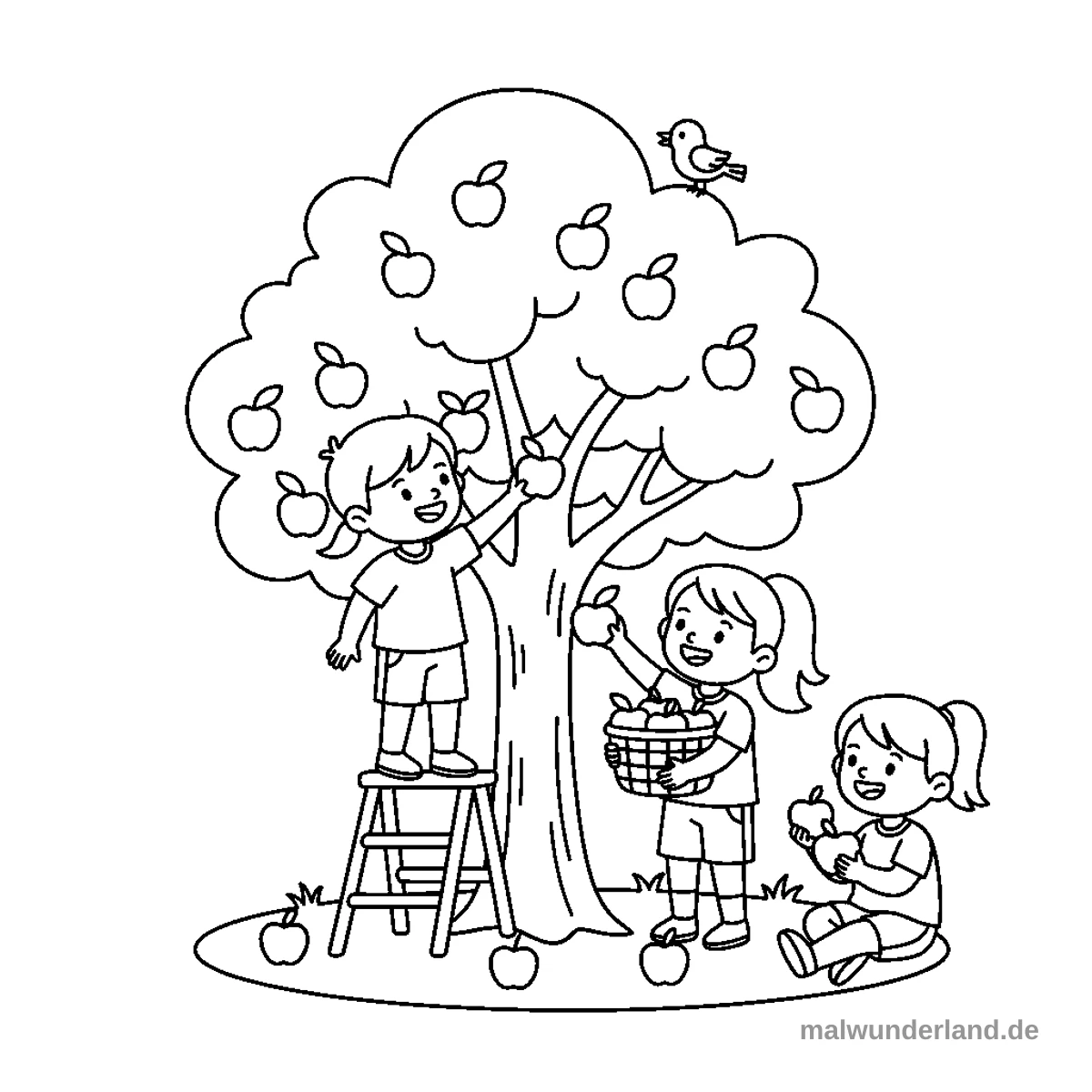 Das Ausmalbild zeigt drei Kinder bei der Apfelernte unter einem großen Apfelbaum, auf dessen Ästen viele Äpfel hängen. Ein Kind steht auf einer Leiter und greift nach einem Apfel, ein weiteres Kind füllt einen Korb mit Äpfeln, und das dritte Kind sitzt am Boden und hält einen Apfel in der Hand.
